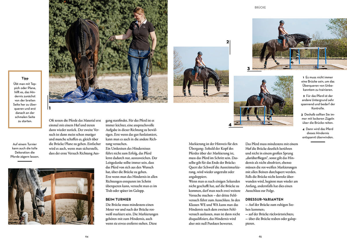 Working Equitation