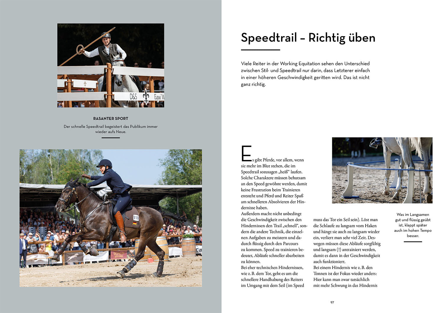 Working Equitation