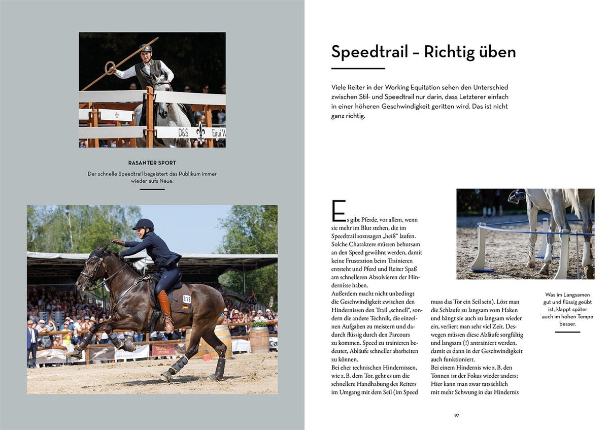 Working Equitation