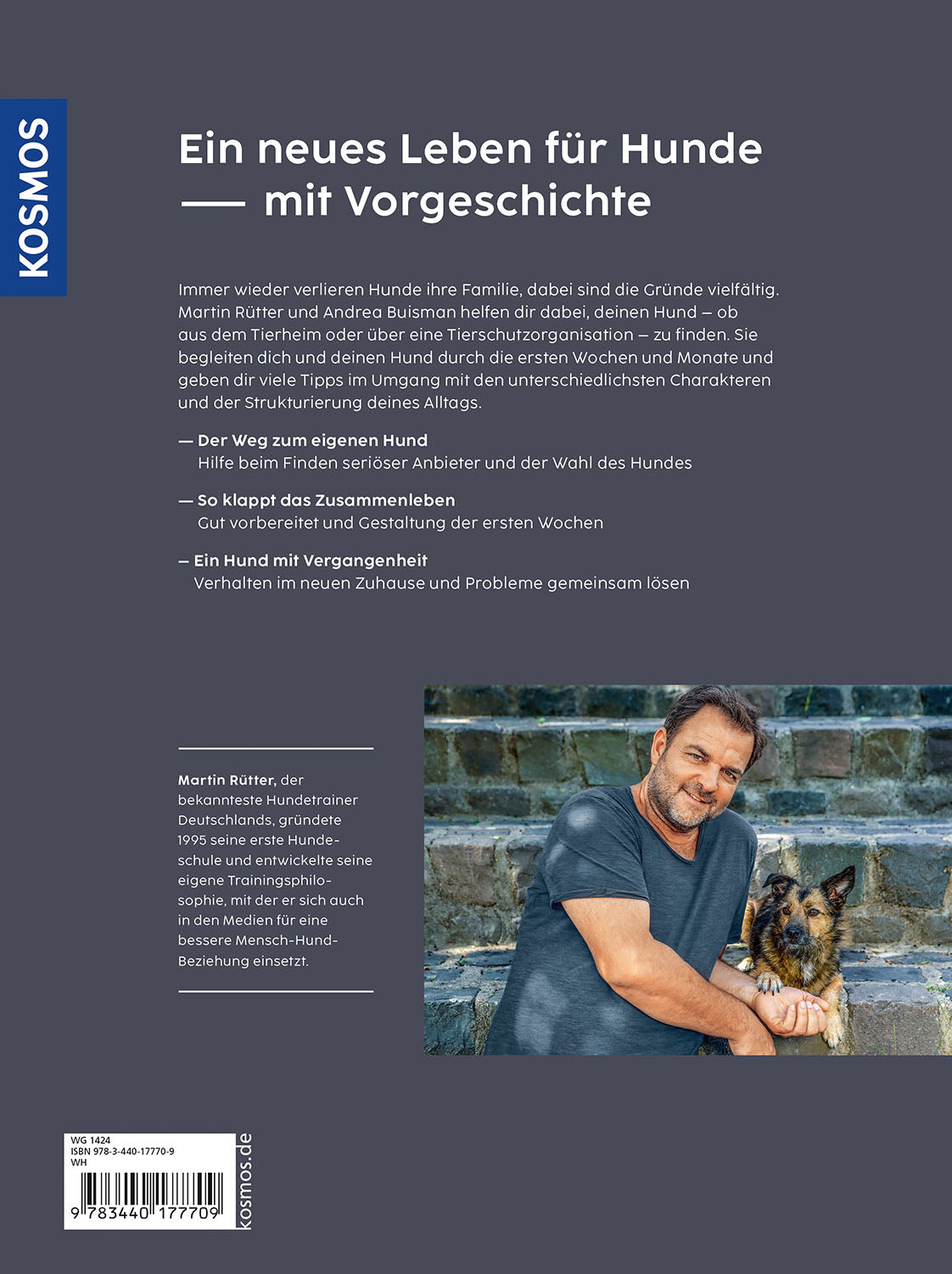 Animal welfare dogs