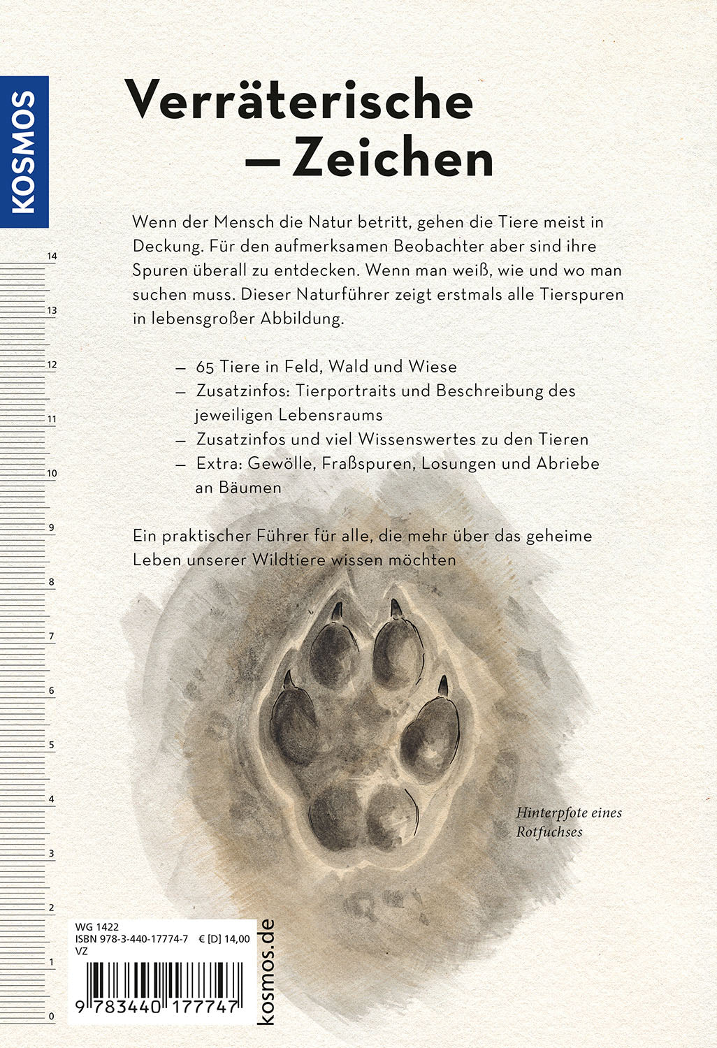 Tierspuren lebensgroß