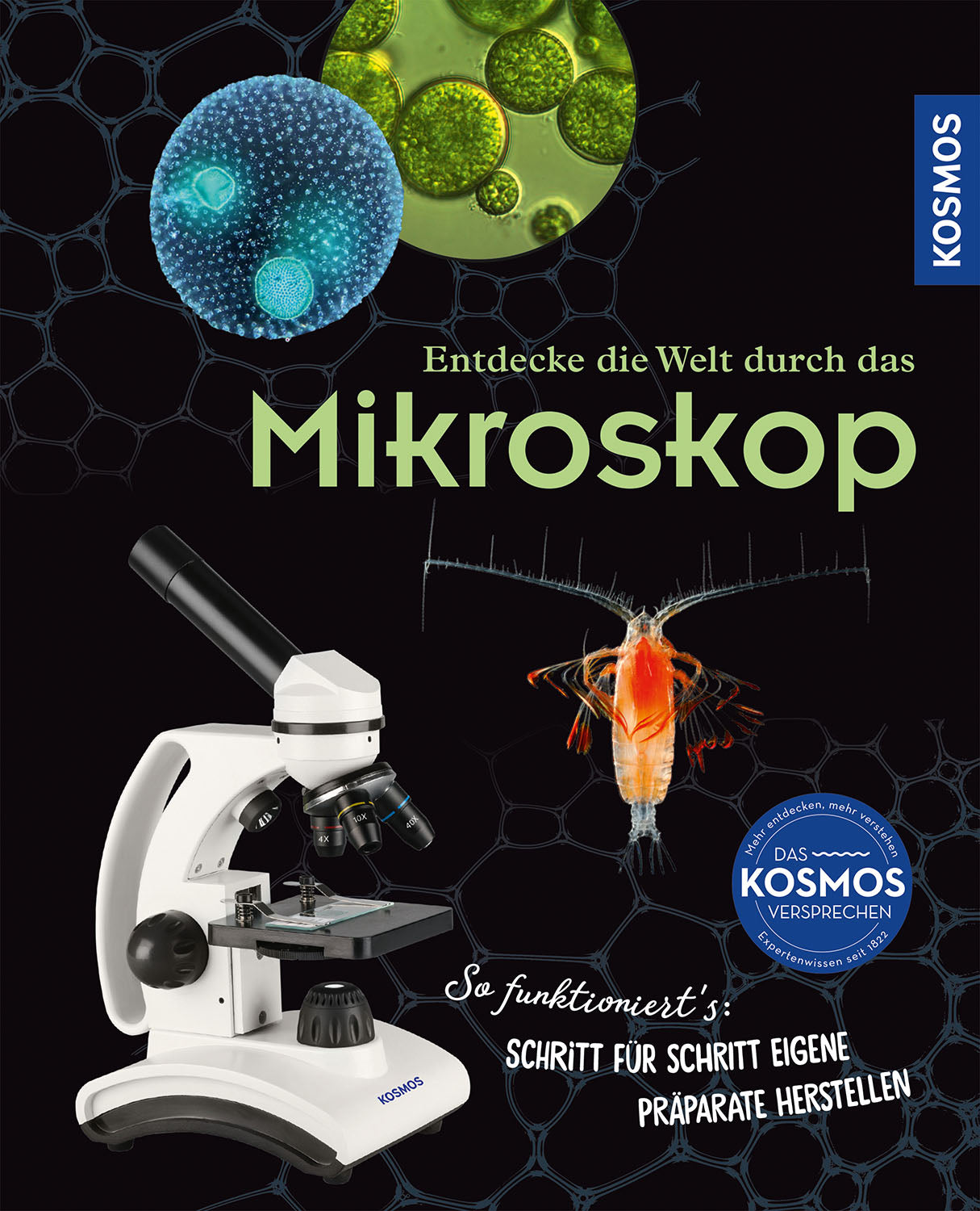 Discover the world through the microscope