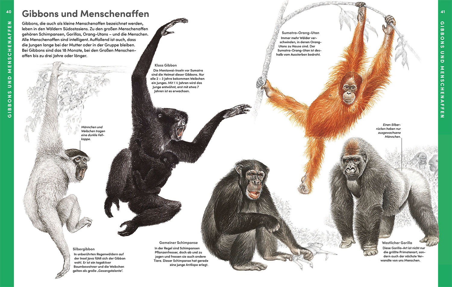 The Great Kosmos Animal Atlas