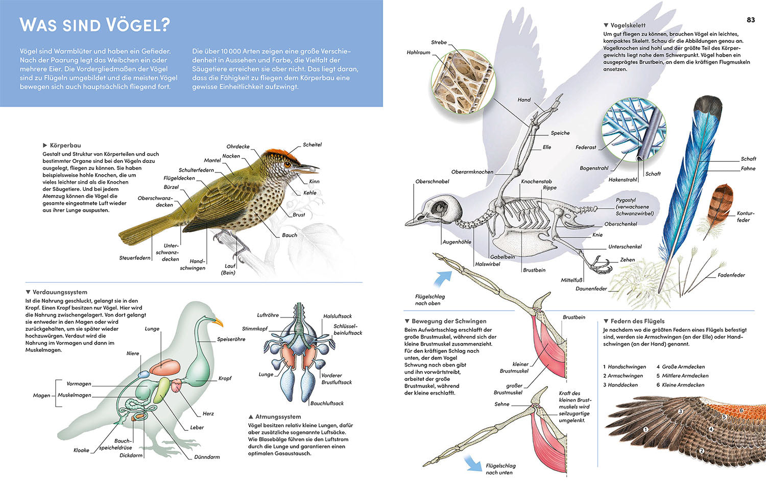 Der große Kosmos Tieratlas