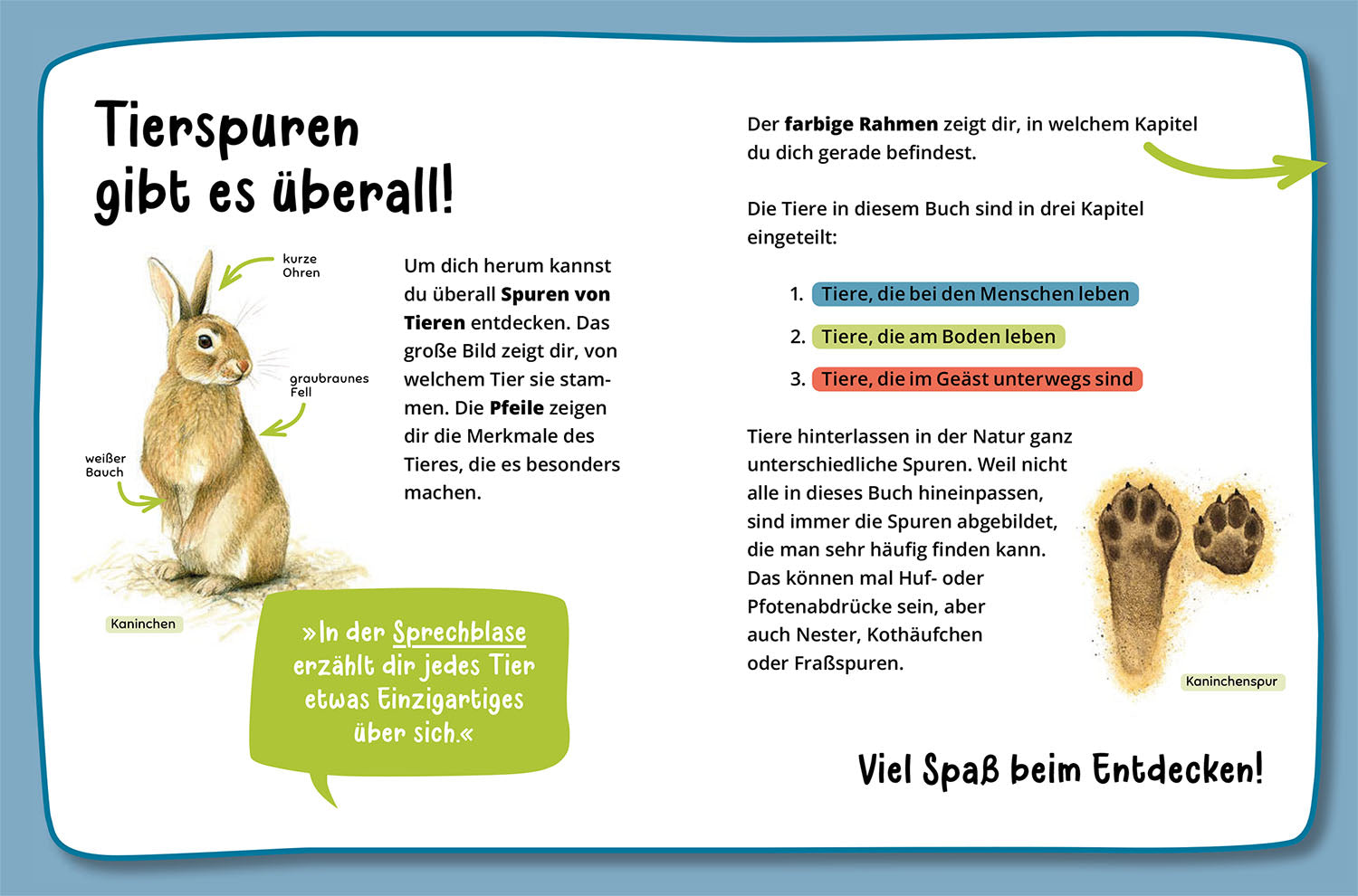 Mein erster Naturführer, Welche Tierspur ist das?