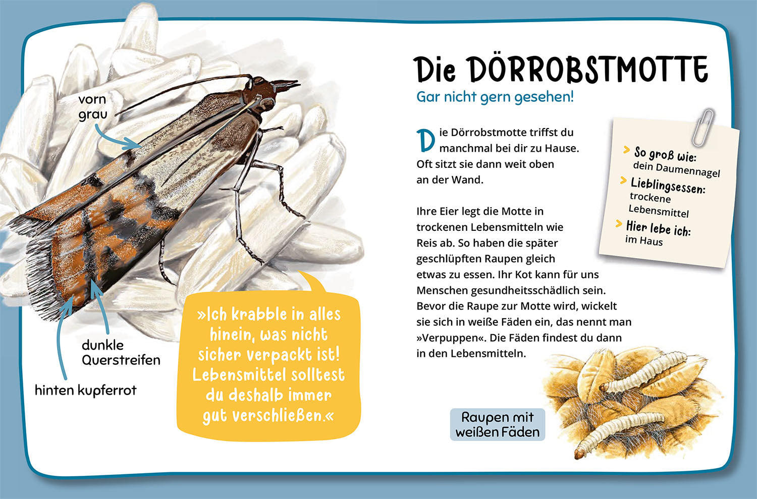 Mein erster Naturführer, Welche Tierspur ist das?