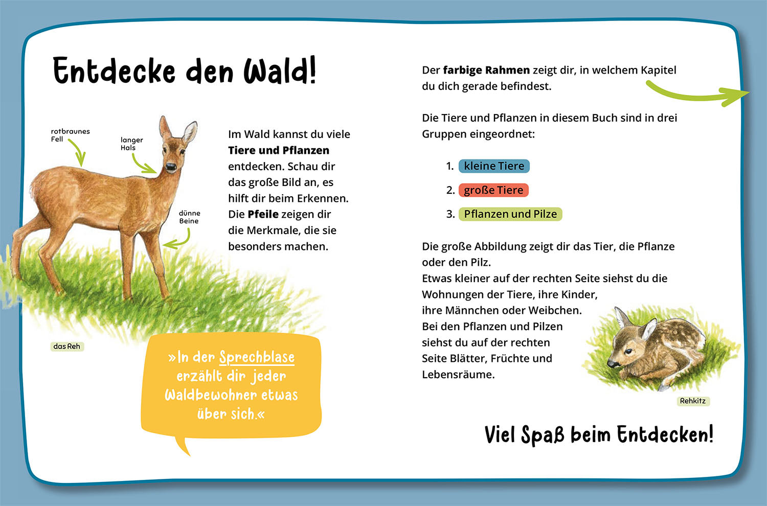 Mein erster Naturführer, Was lebt im Wald?