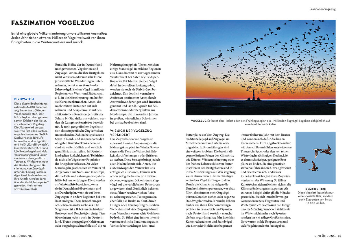 Das NABU-Vogelbuch