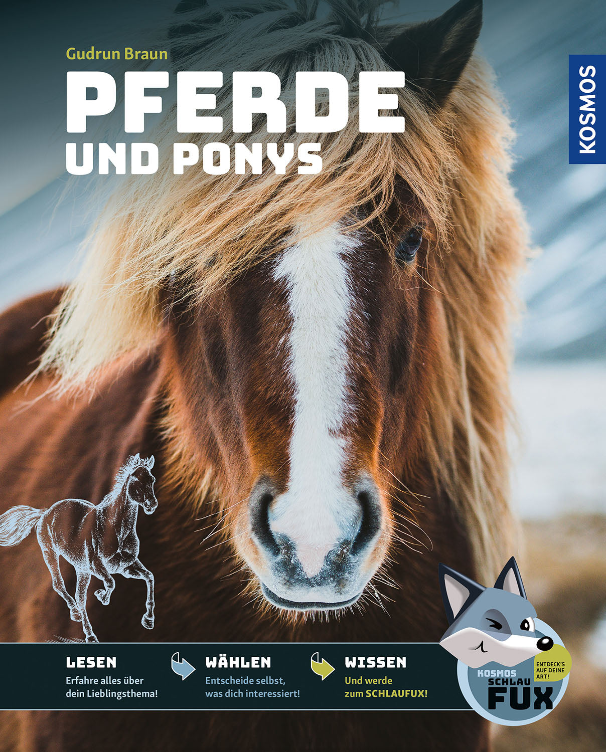 Kosmos SmartFUX - Horses and Ponies