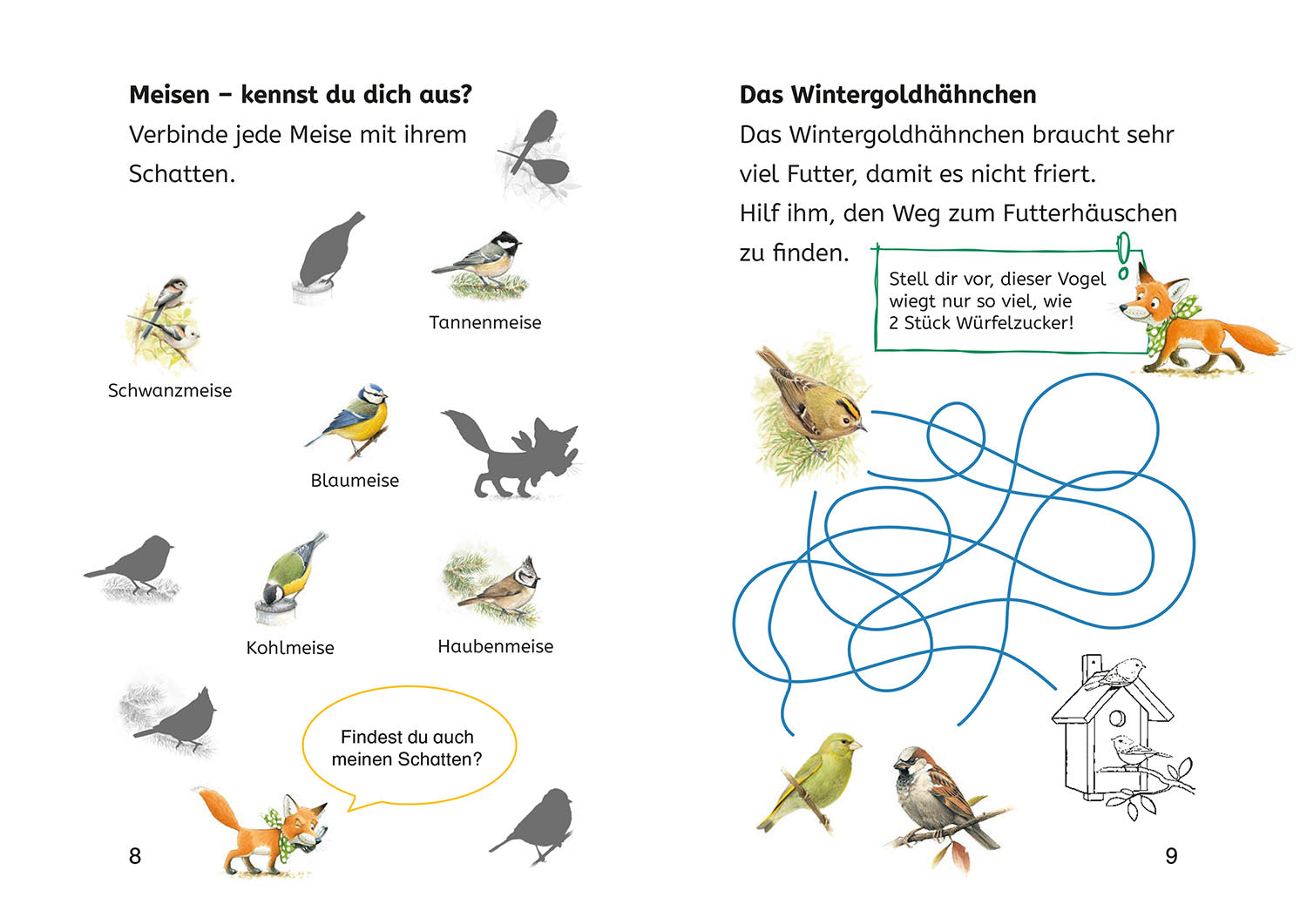 Lesen lernen mit Naturrätseln, Bücherhelden 2. Klasse, heimische Vögel