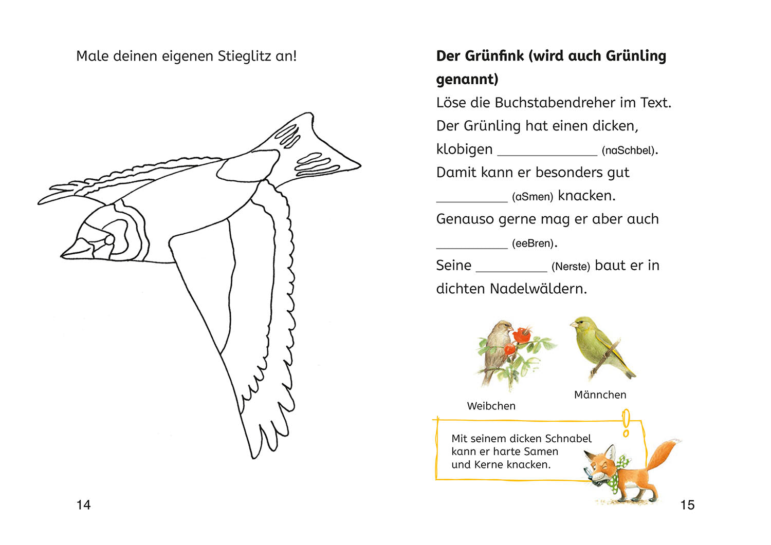 Lesen lernen mit Naturrätseln, Bücherhelden 2. Klasse, heimische Vögel
