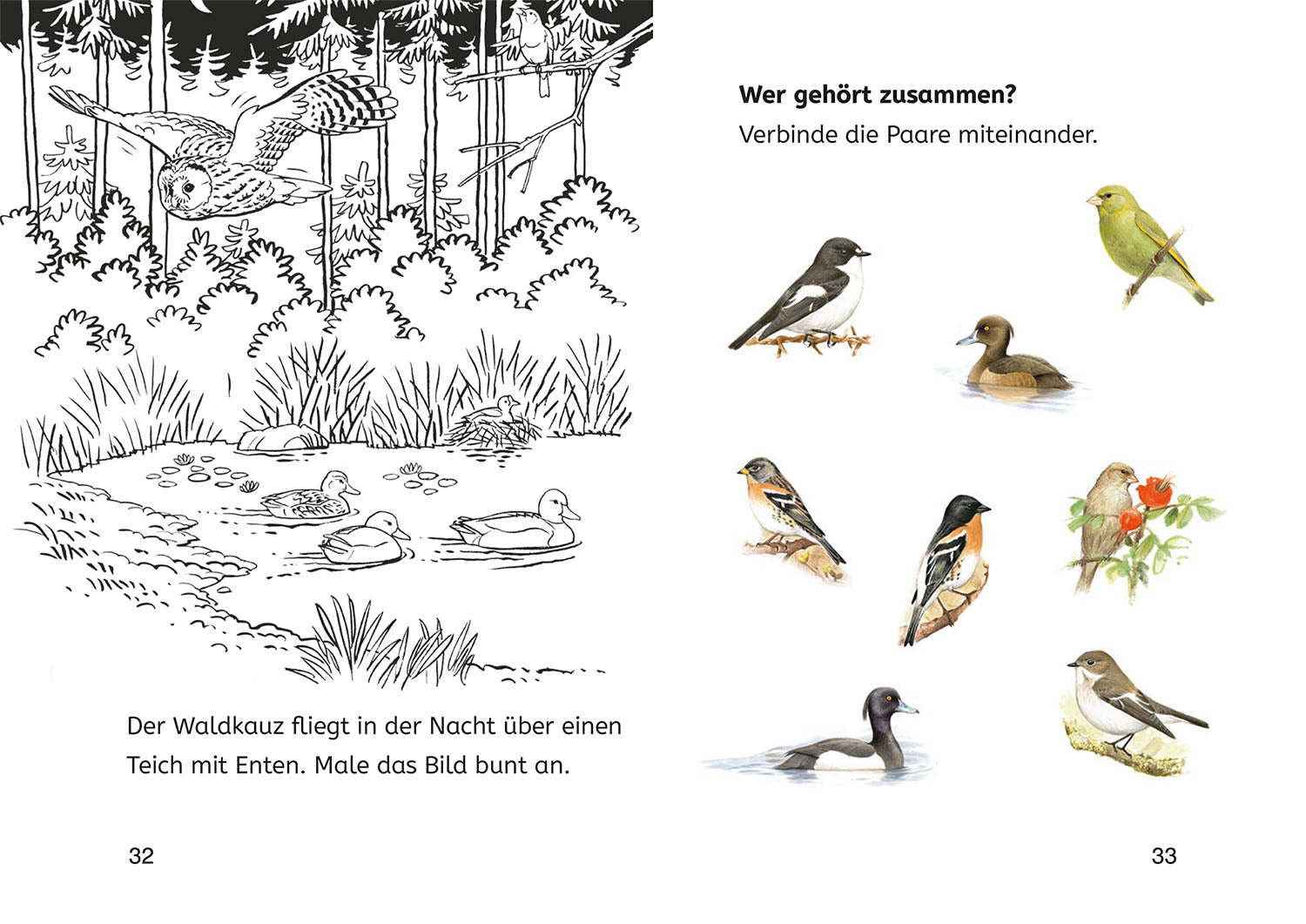 Lesen lernen mit Naturrätseln, Bücherhelden 2. Klasse, heimische Vögel