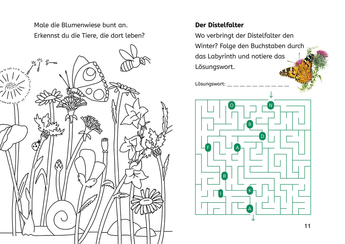 Learning to Read with Nature Riddles, Book Heroes 2nd Grade, Insects & Spiders