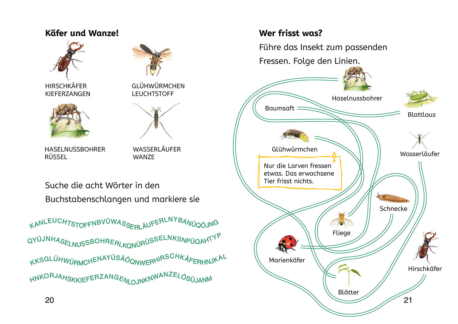 Lesen lernen mit Naturrätseln, Bücherhelden 2. Klasse, Insekten & Spinnen