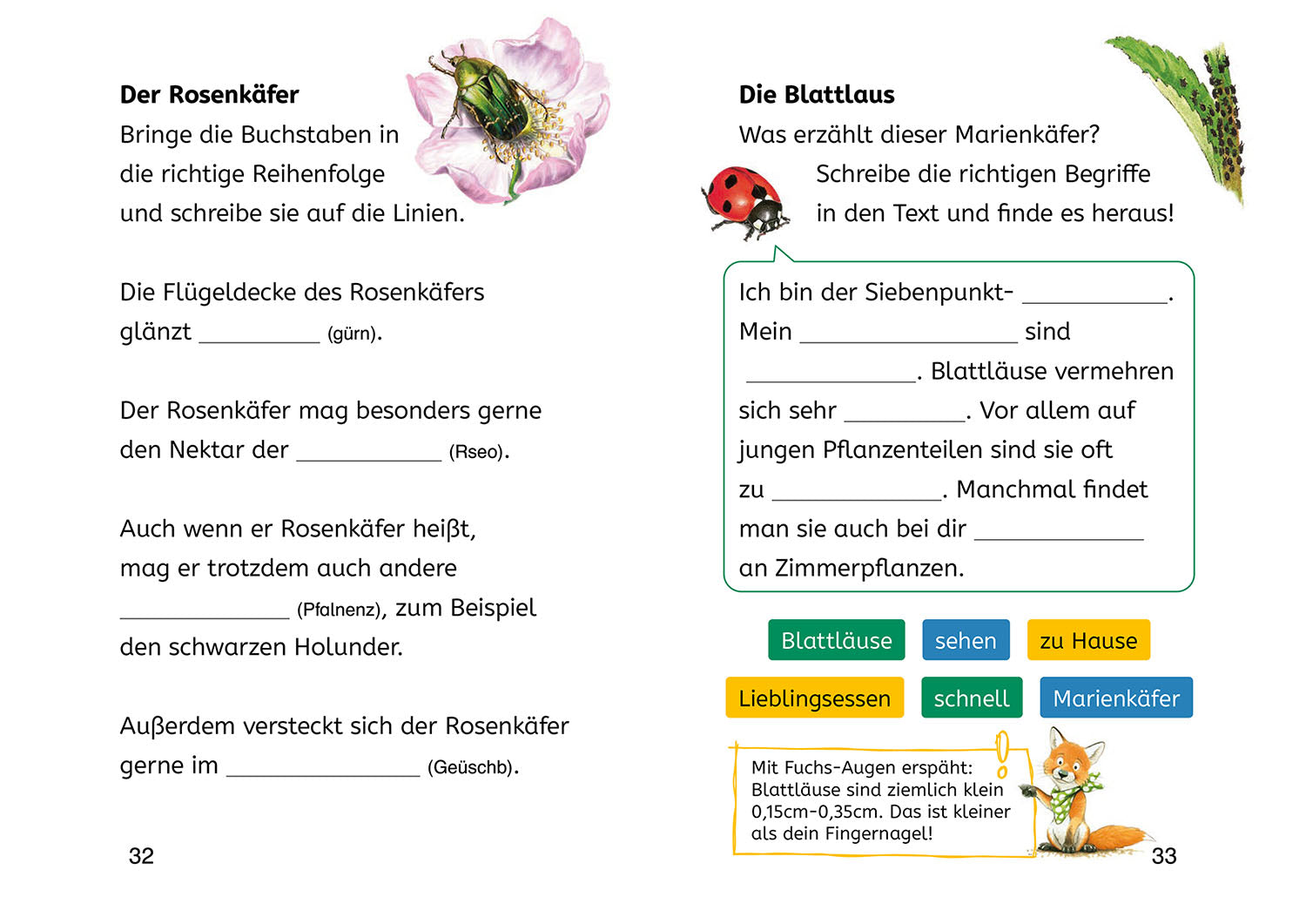 Lesen lernen mit Naturrätseln, Bücherhelden 2. Klasse, Insekten & Spinnen