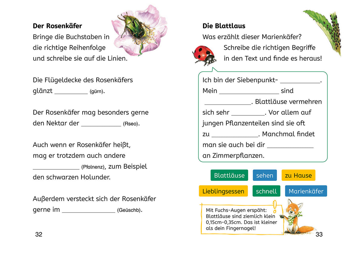 Learning to Read with Nature Riddles, Book Heroes 2nd Grade, Insects & Spiders