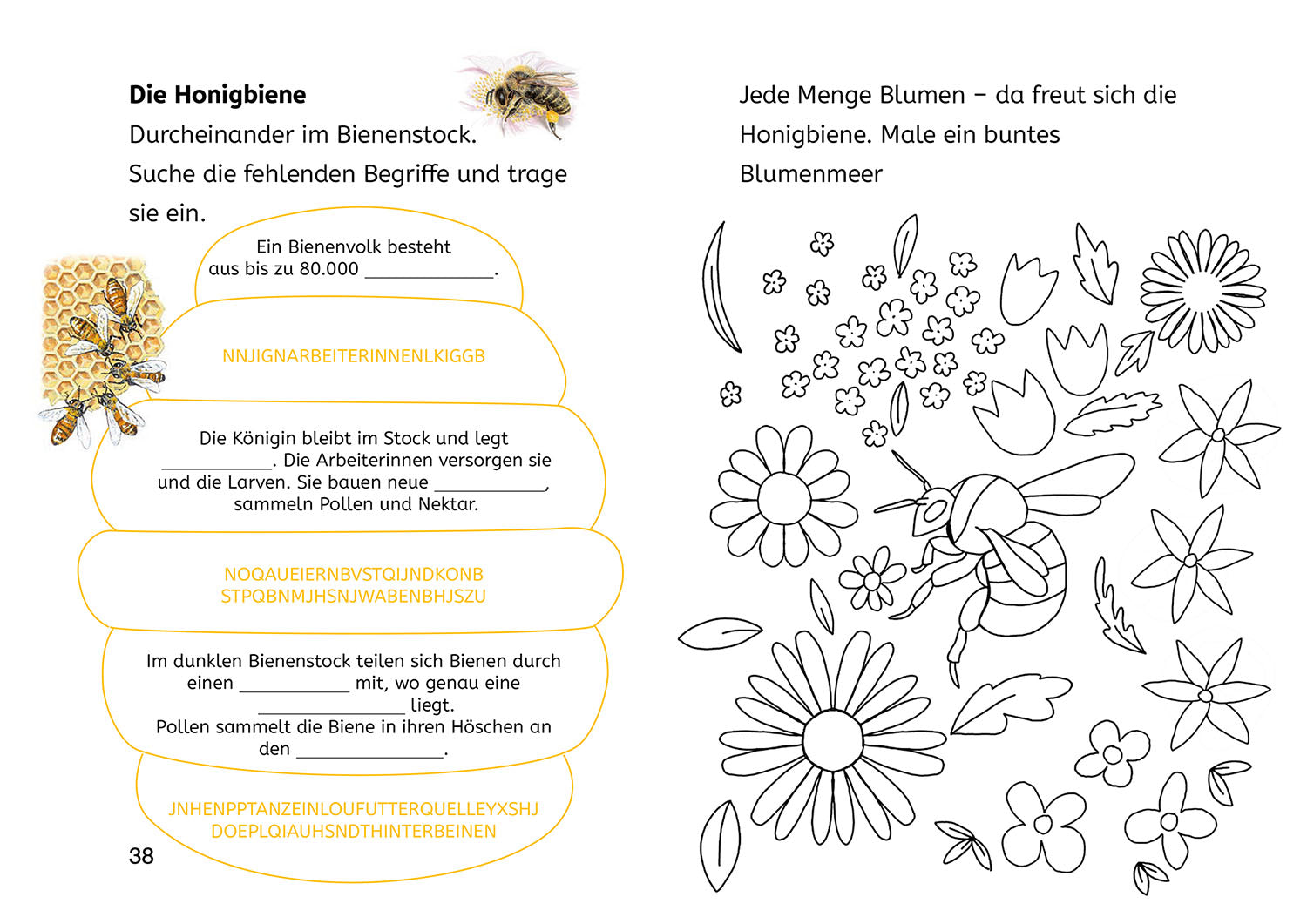Lesen lernen mit Naturrätseln, Bücherhelden 2. Klasse, Insekten & Spinnen