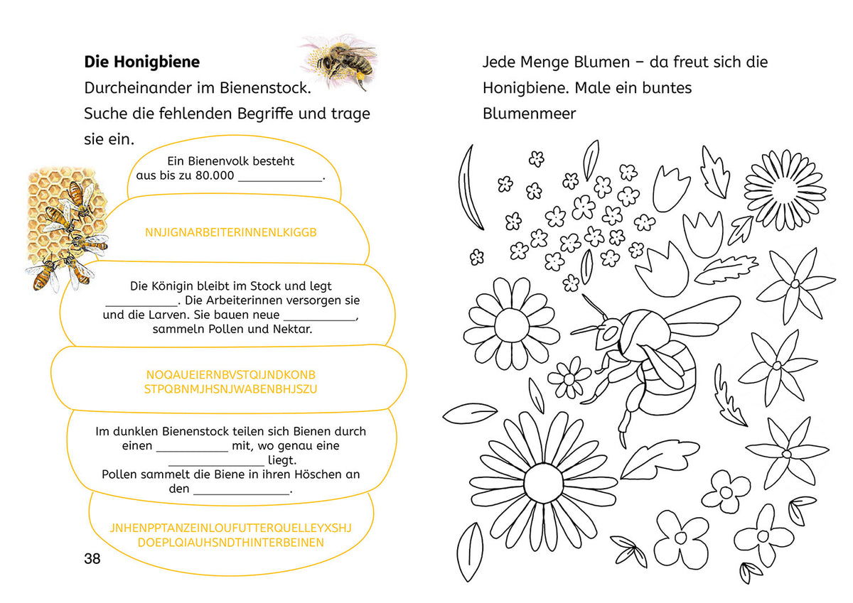 Lesen lernen mit Naturrätseln, Bücherhelden 2. Klasse, Insekten & Spinnen