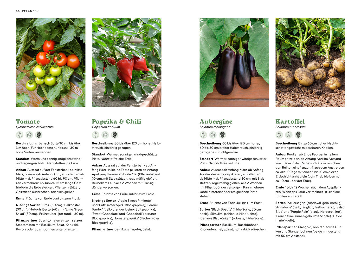 Raised beds