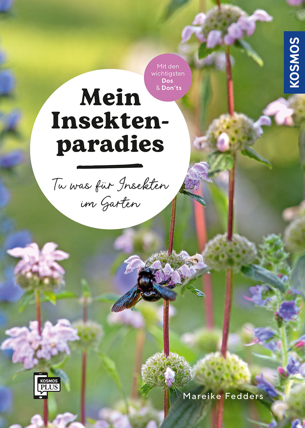 My insect paradise