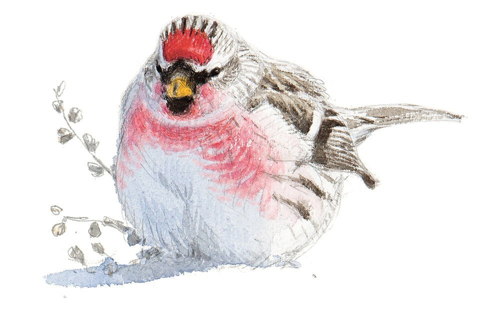 Der Winter naht