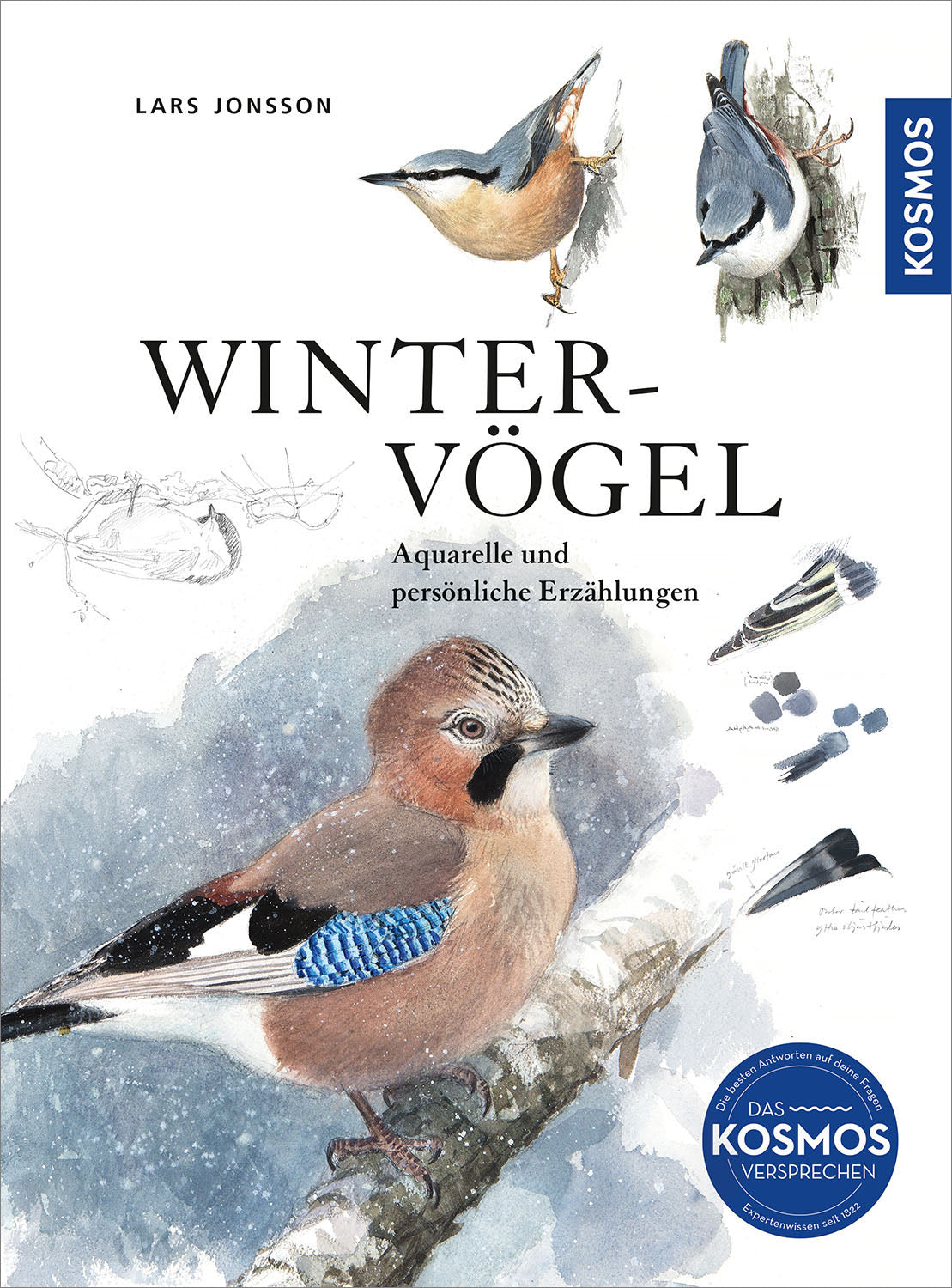 Winter Birds