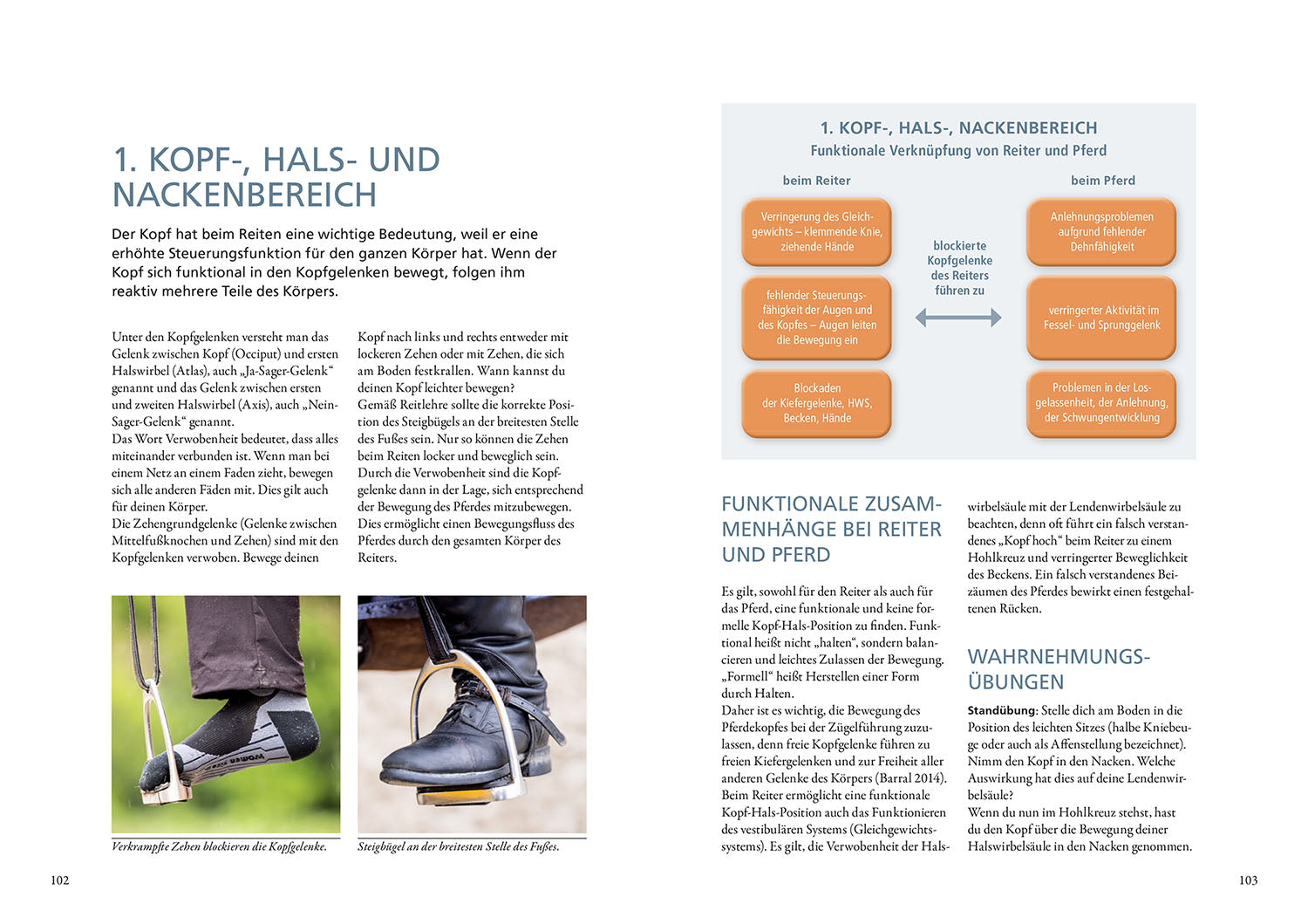 Verbessere dein Reiten
