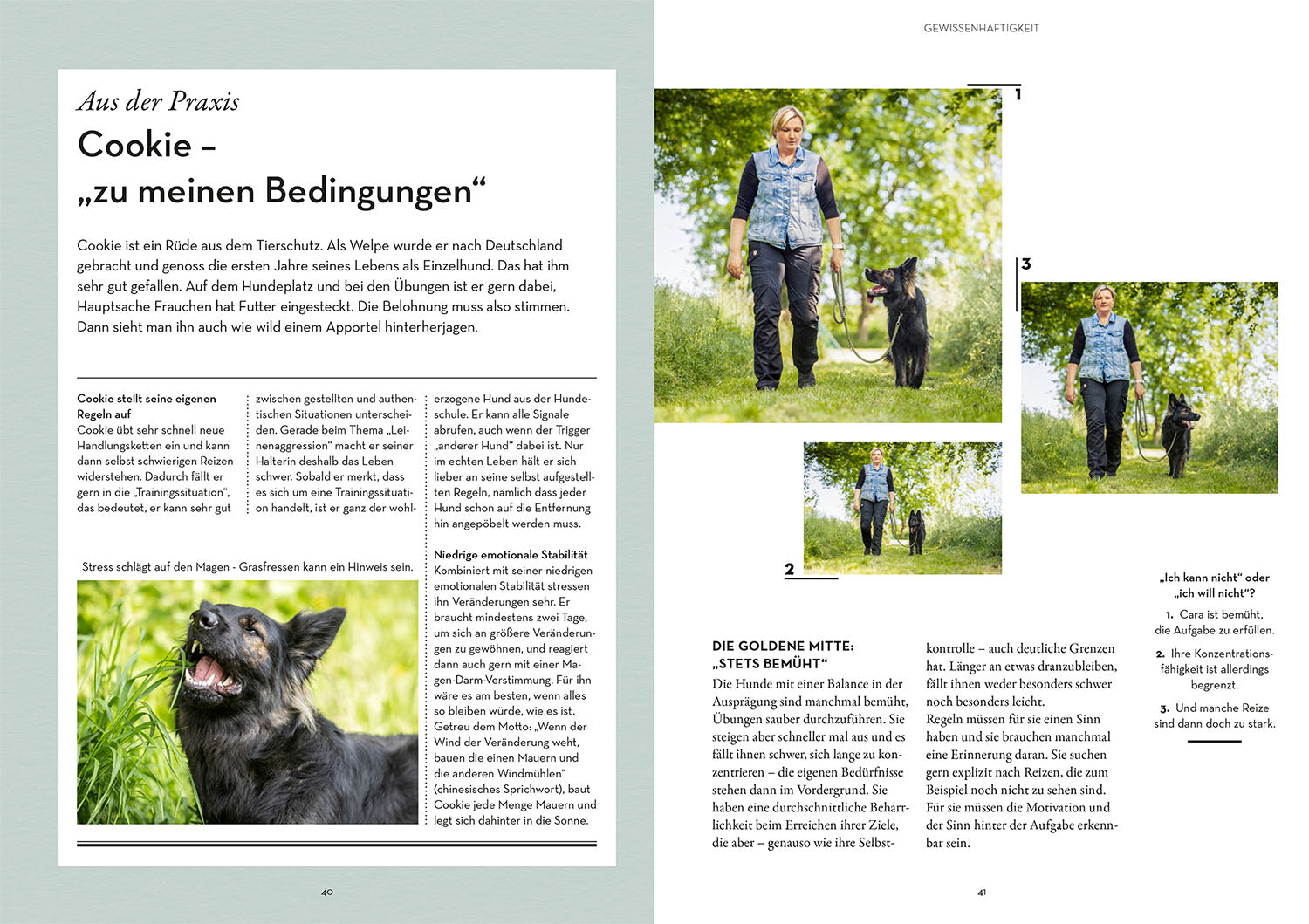 Persönlichkeitsanalyse für Hunde