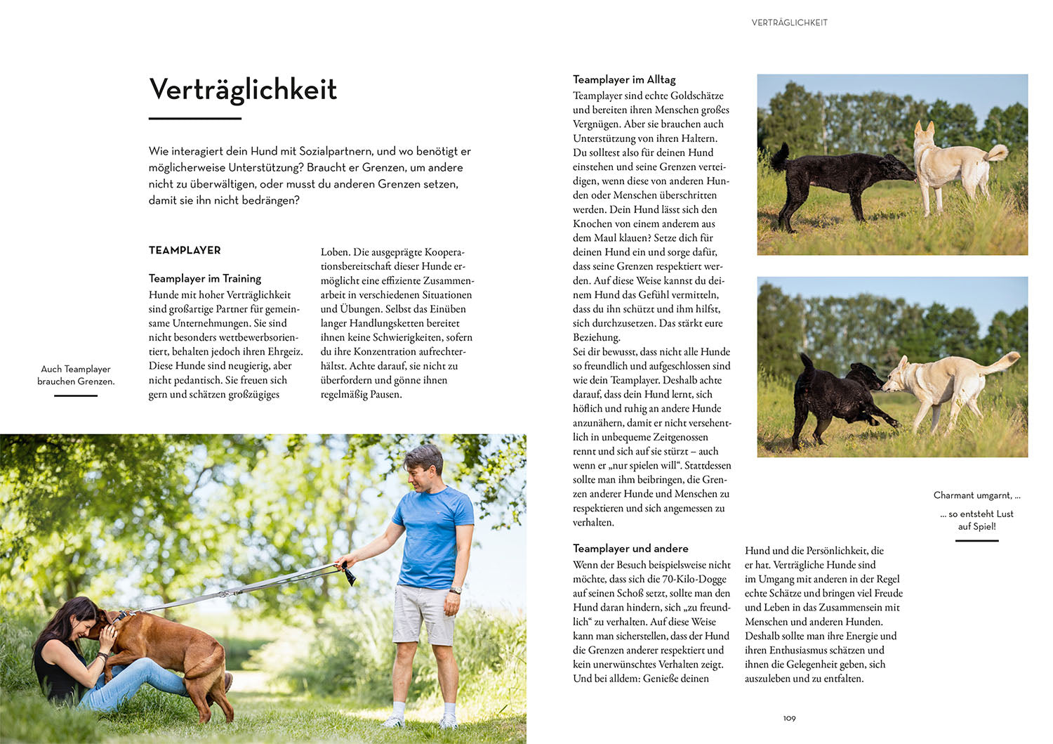 Personality Analysis for Dogs