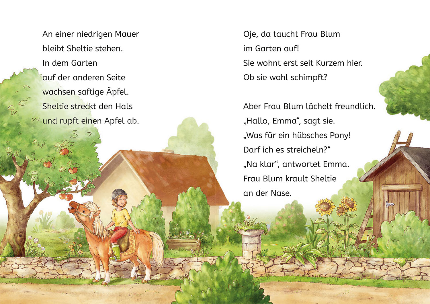 Sheltie, Bücherhelden 1. Klasse, Sheltie und die Katzenbabys