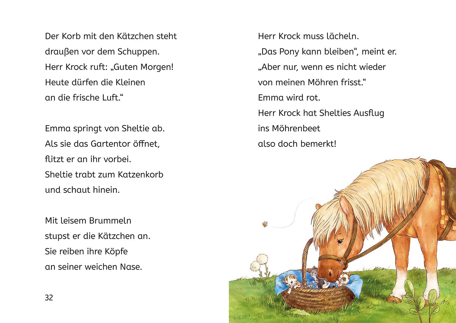 Sheltie, Bücherhelden 1. Klasse, Sheltie und die Katzenbabys