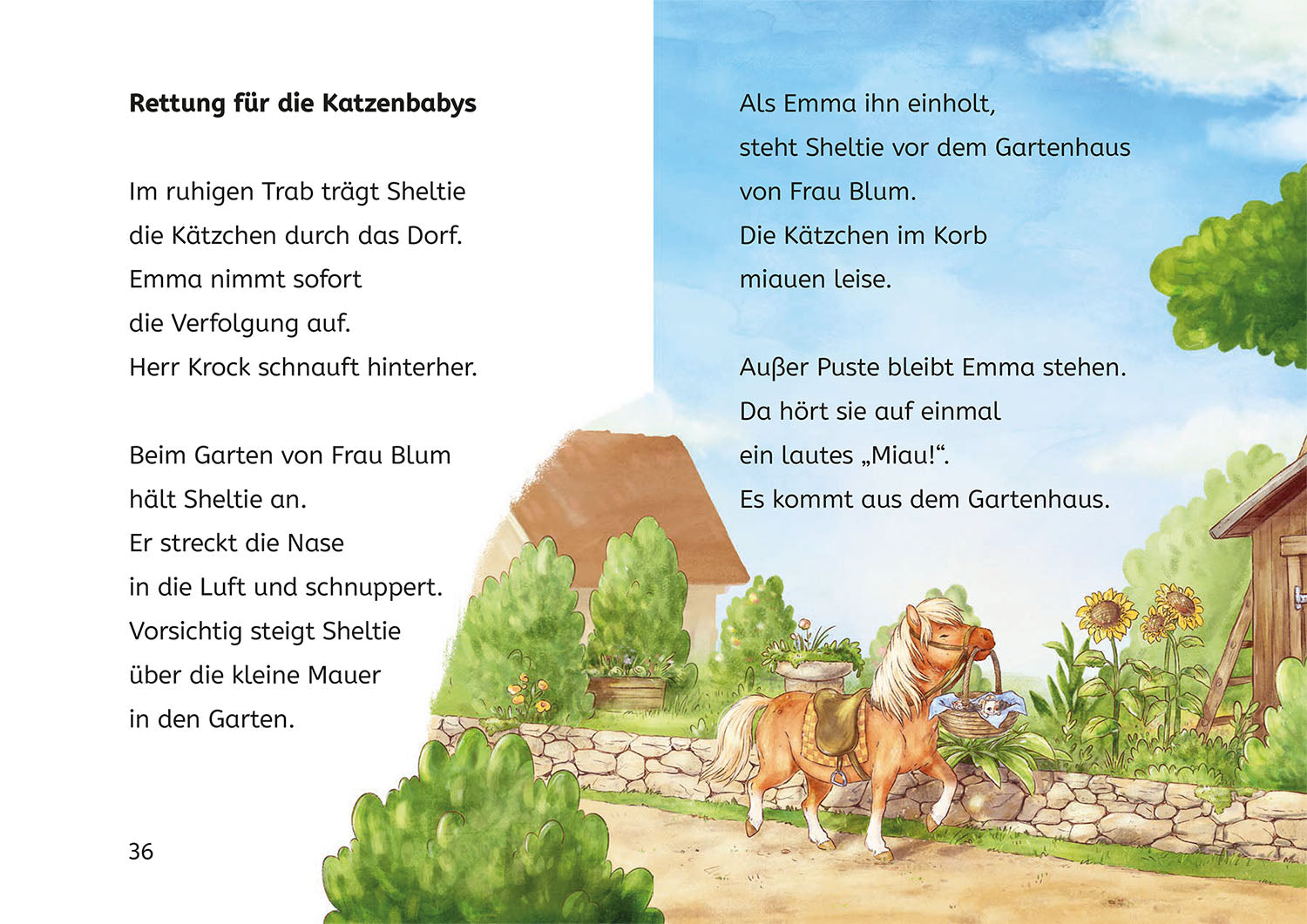 Sheltie, Bücherhelden 1. Klasse, Sheltie und die Katzenbabys