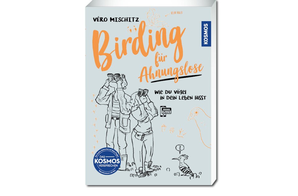 Wie du Vögel in dein Leben lässt