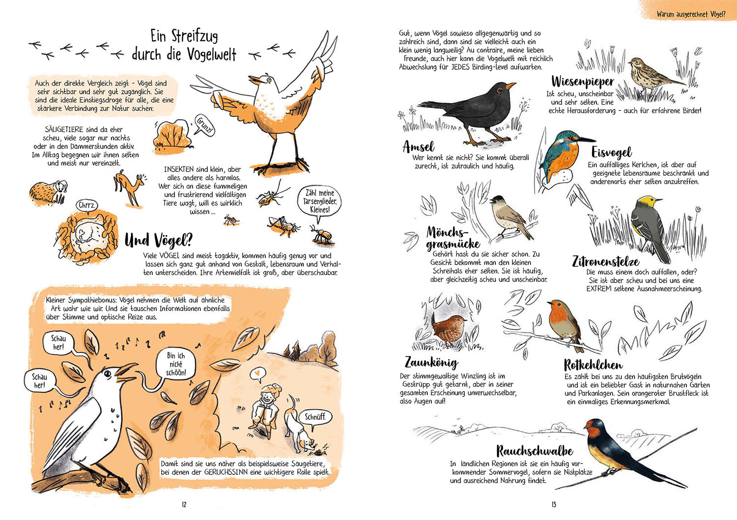Birding für Ahnungslose