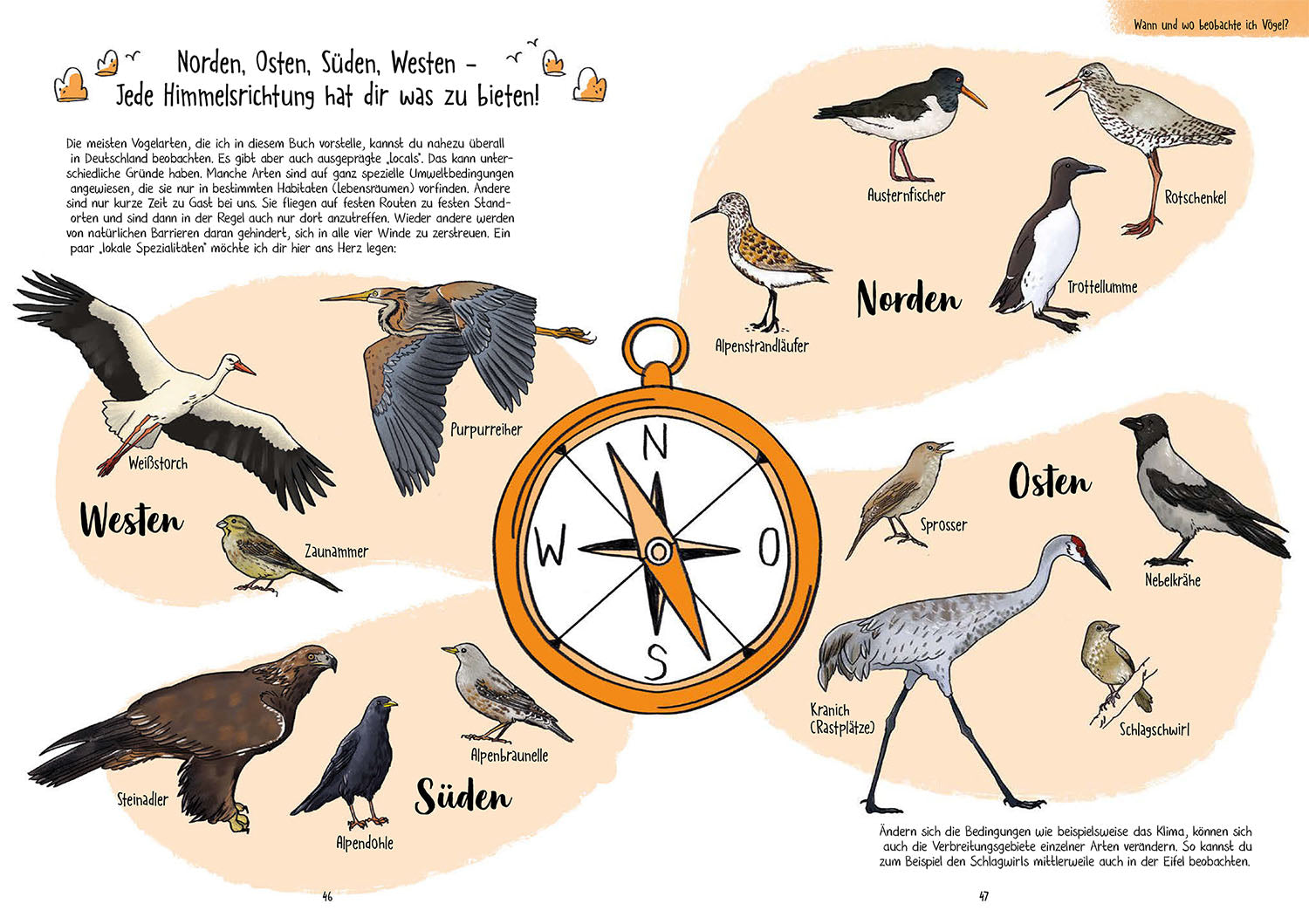 Birding für Ahnungslose