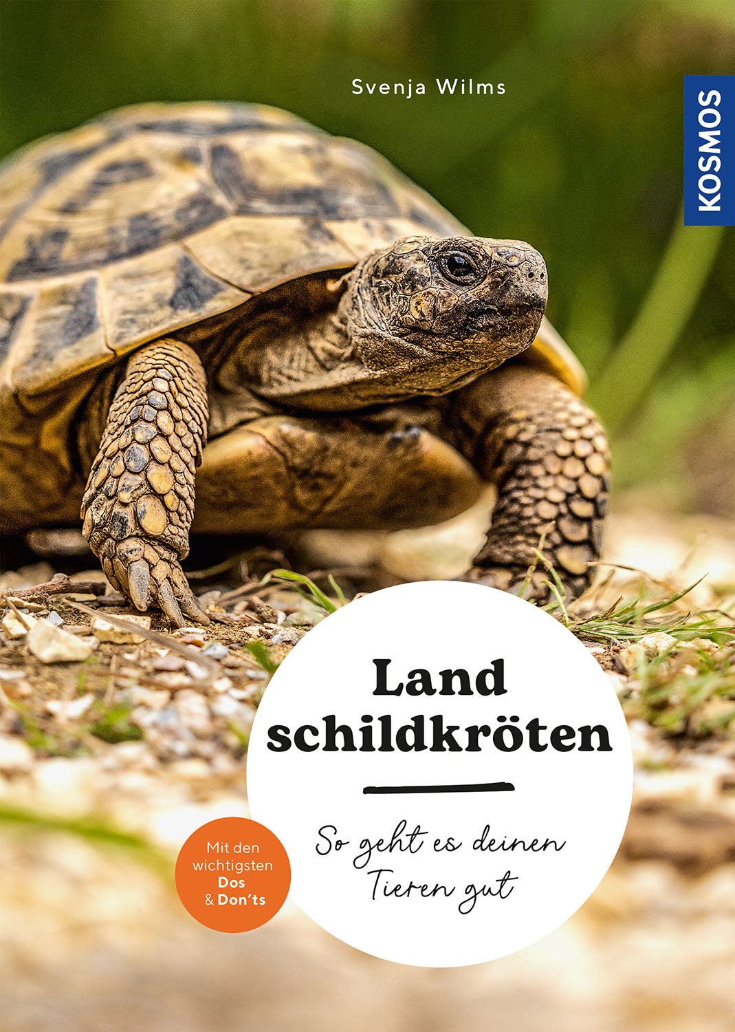 Tortoises