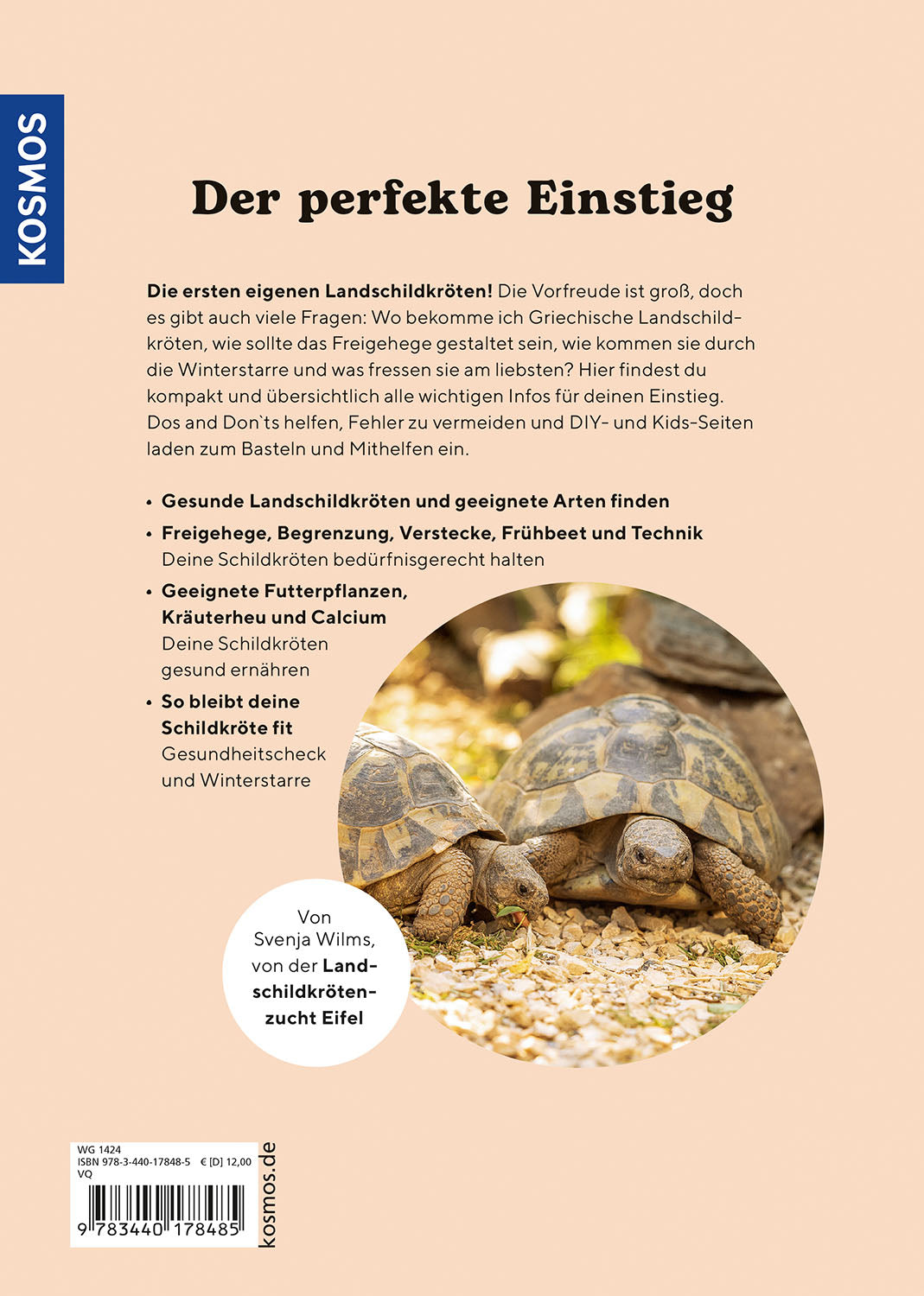 Tortoises