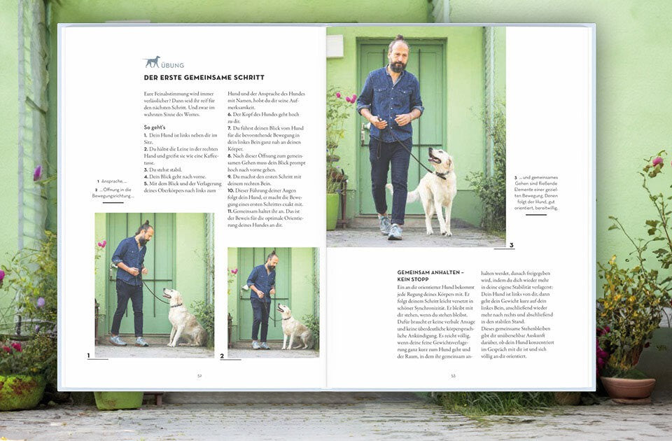 Übungen für Mensch und Hund
