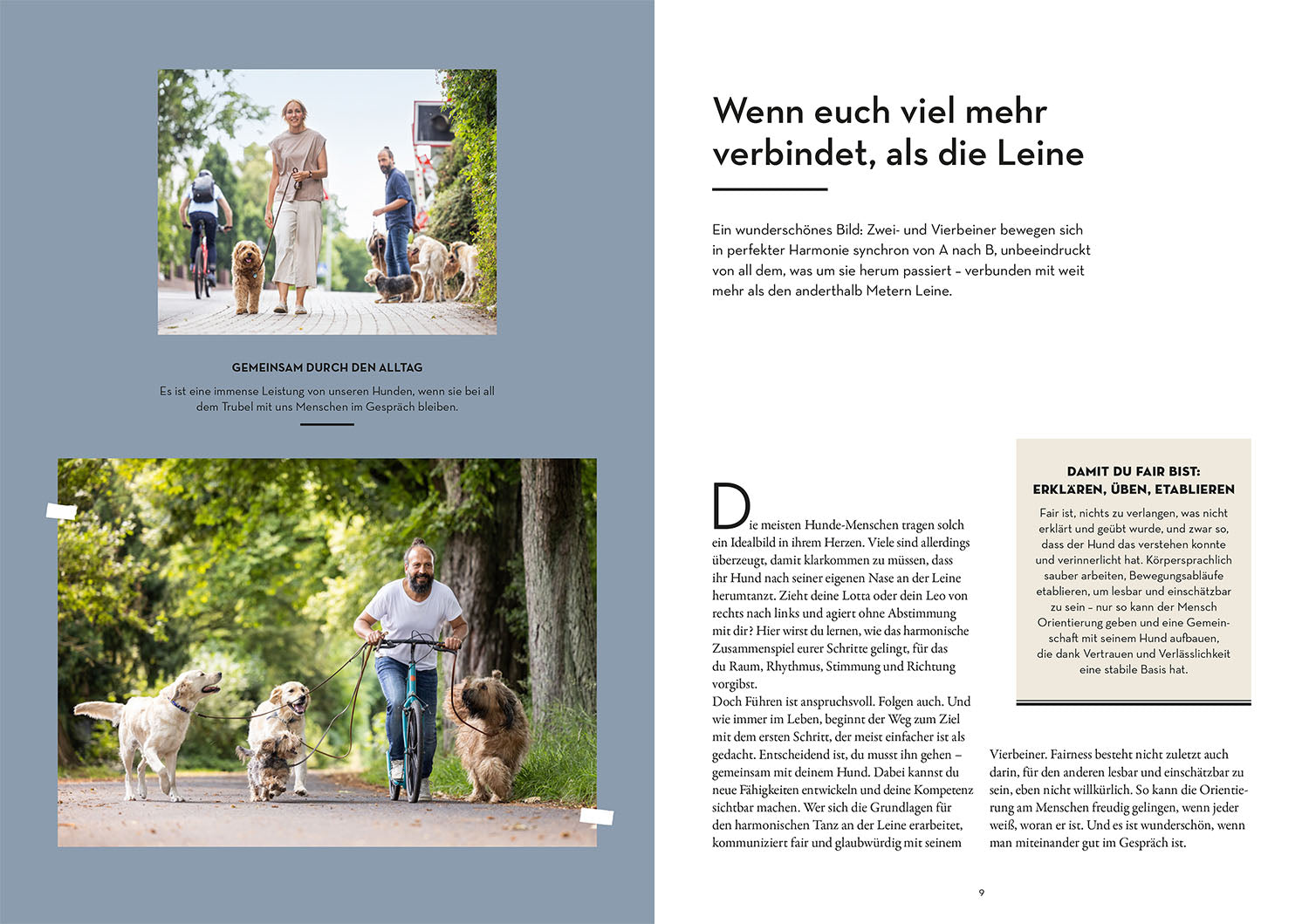Leinenführigkeit