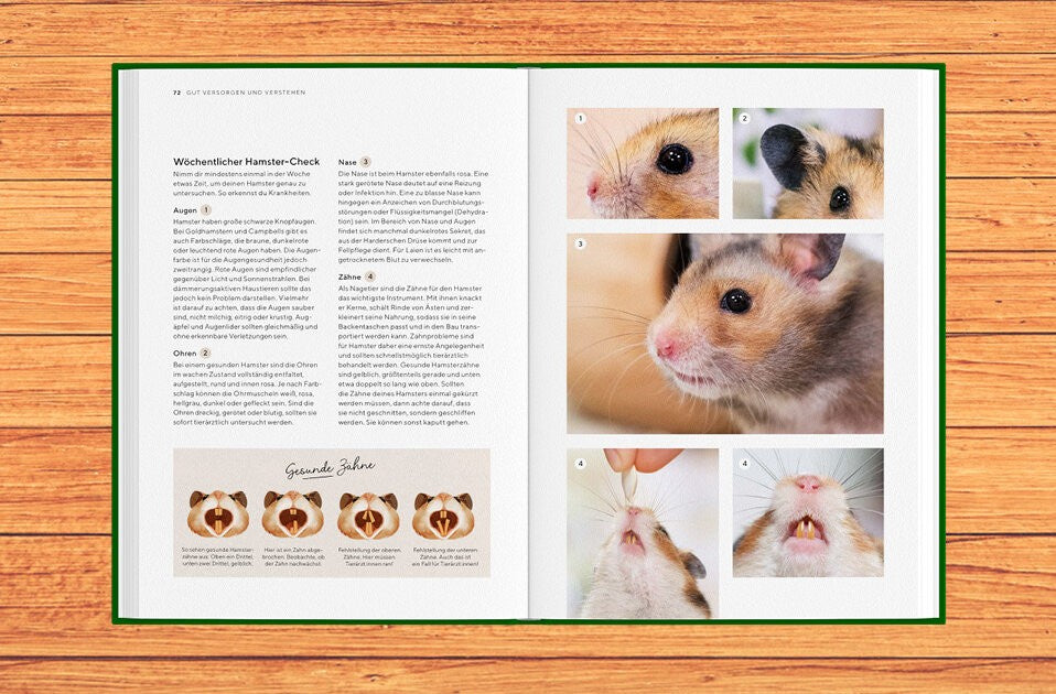 Der wöchentliche Hamster-Check