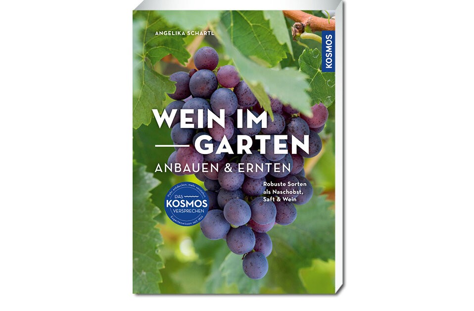 Weinbau im eigenen Garten