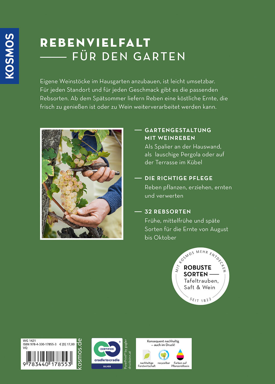 Wein im Garten anbauen & ernten