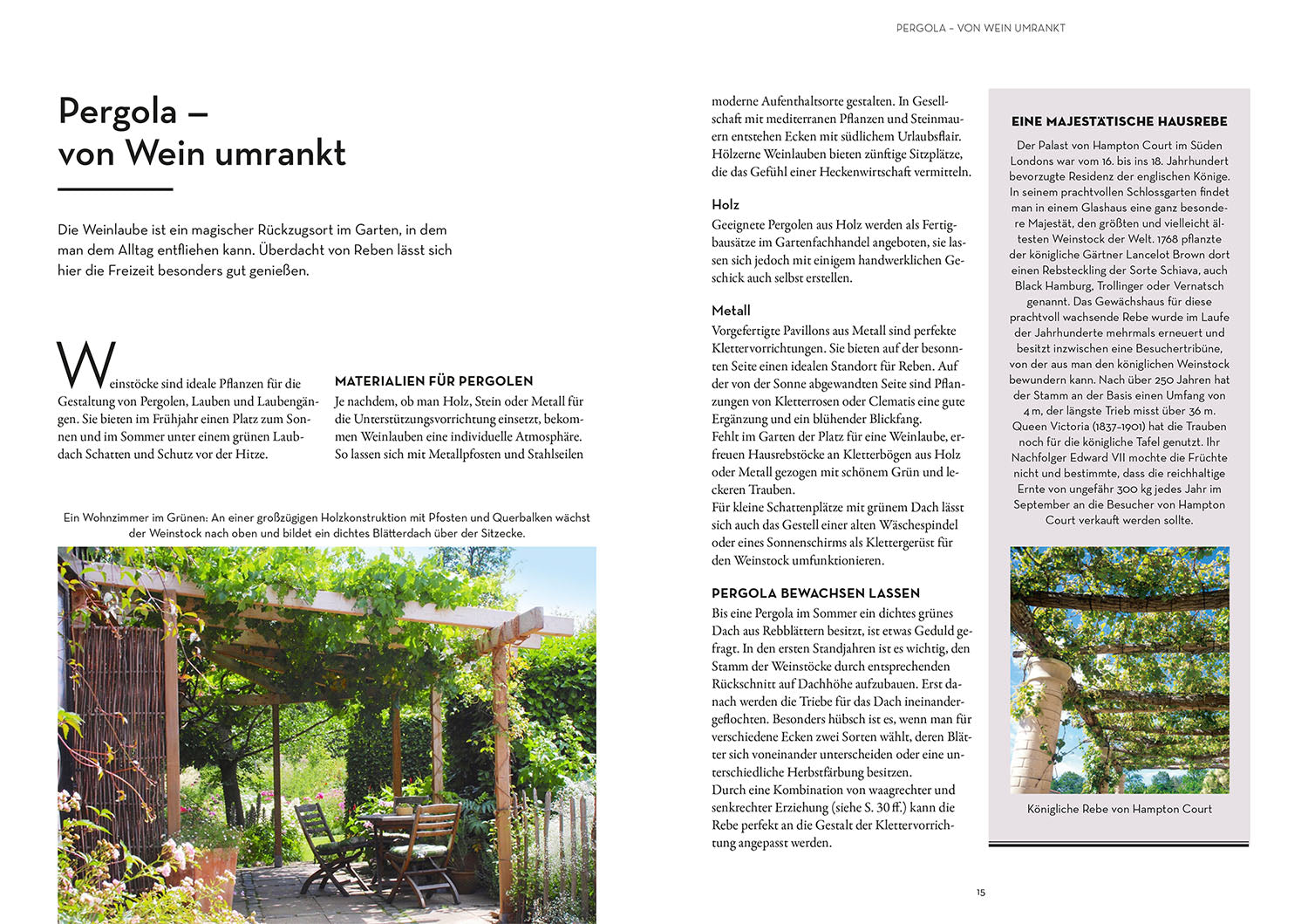 Wein im Garten anbauen & ernten