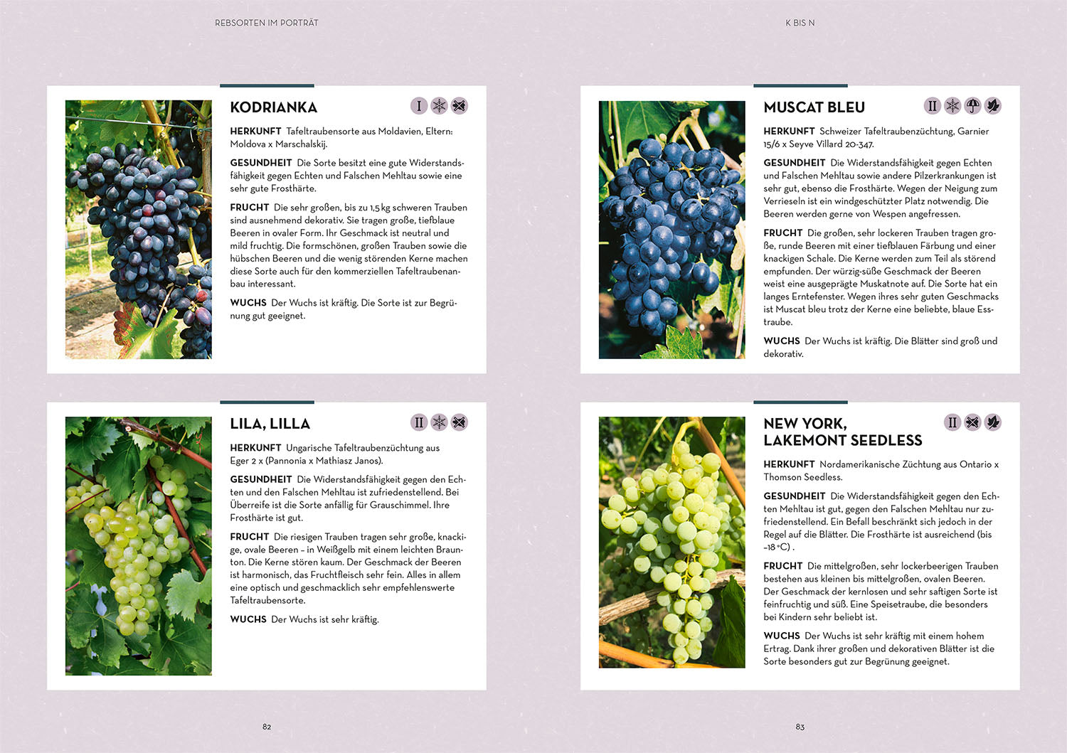 Wein im Garten anbauen & ernten