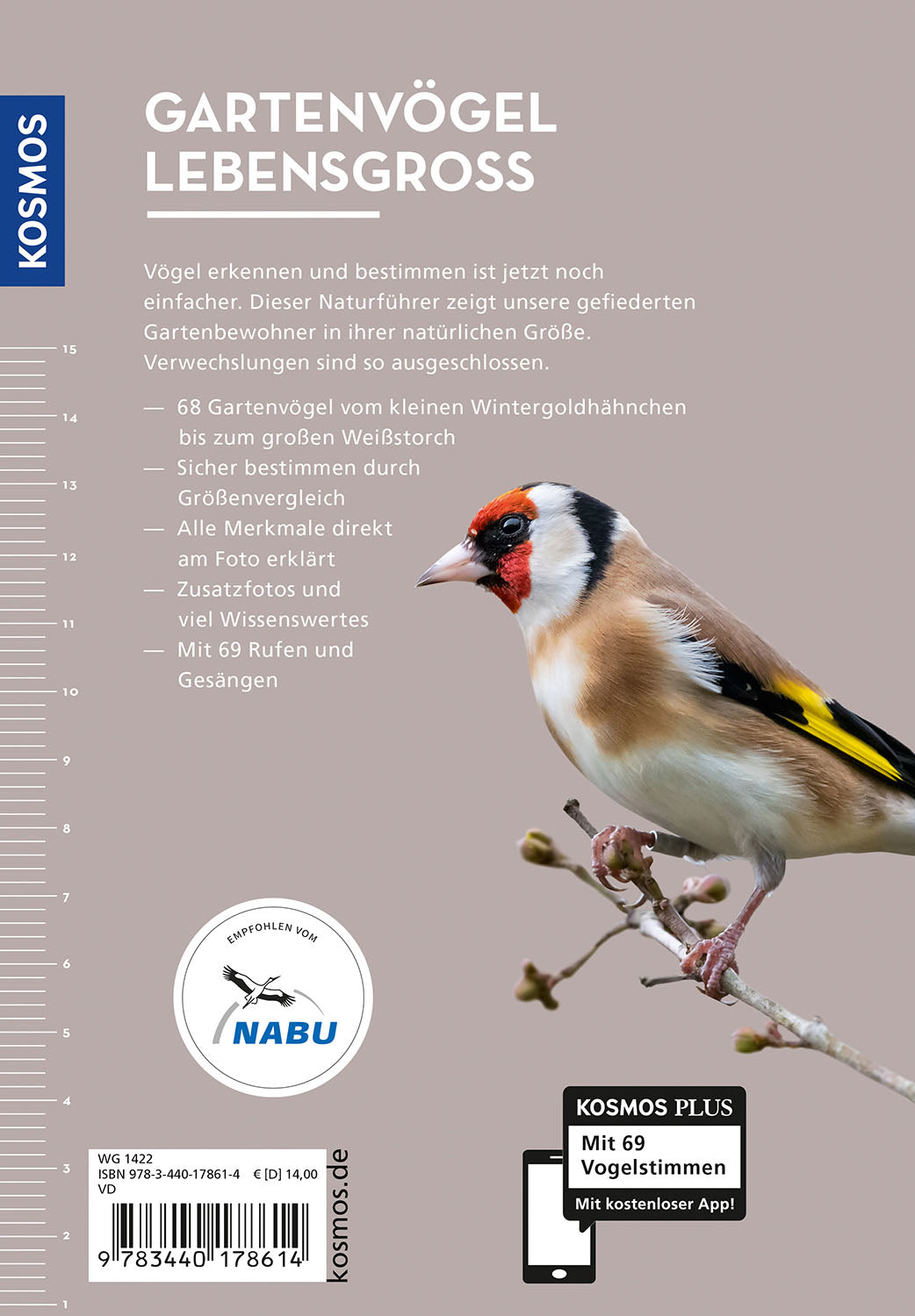 Gartenvögel lebensgroß