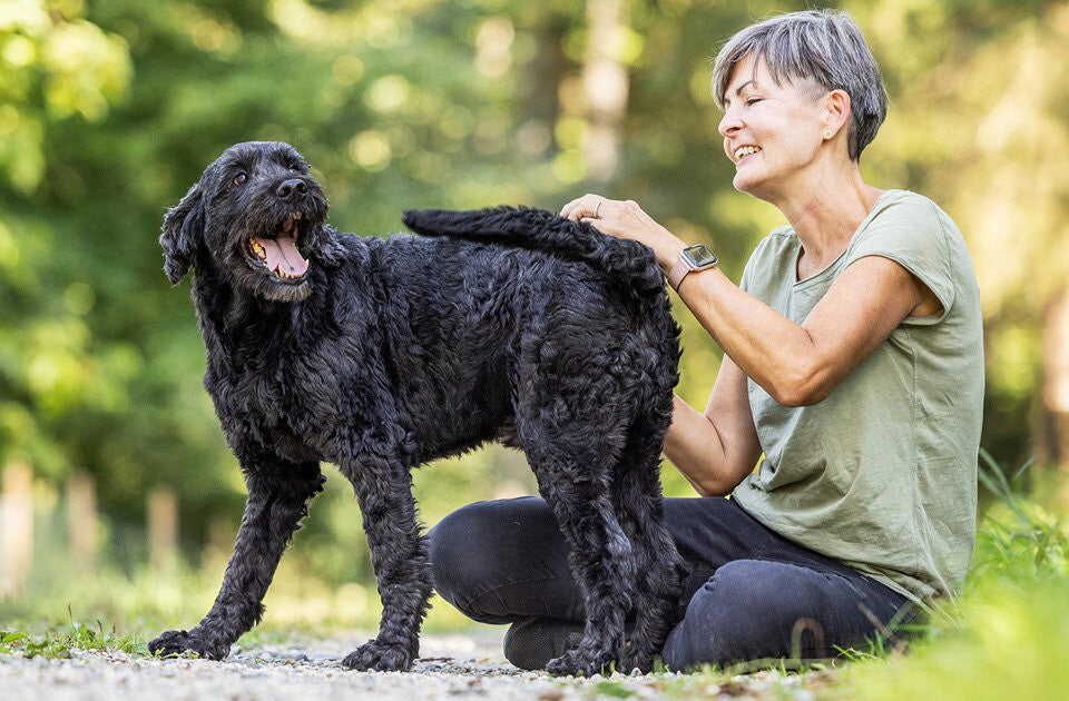Die Sprache der Hunde