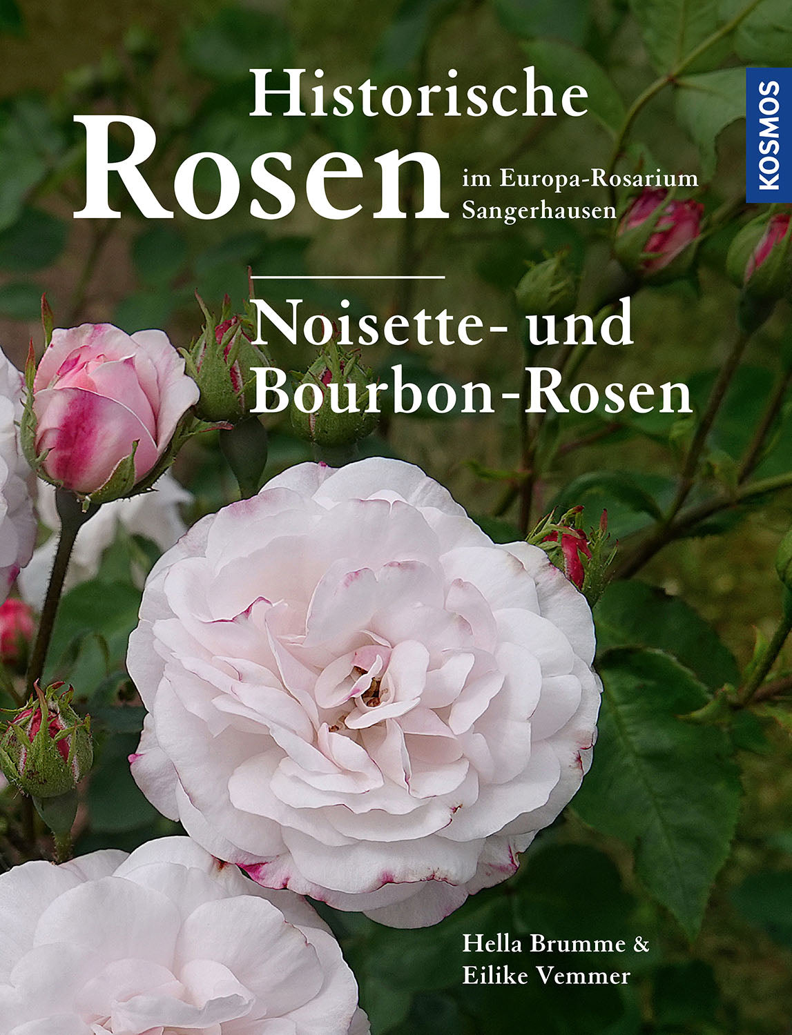 Historic Roses in the Europa Rosarium Sangerhausen: Noisette and Bourbon Roses