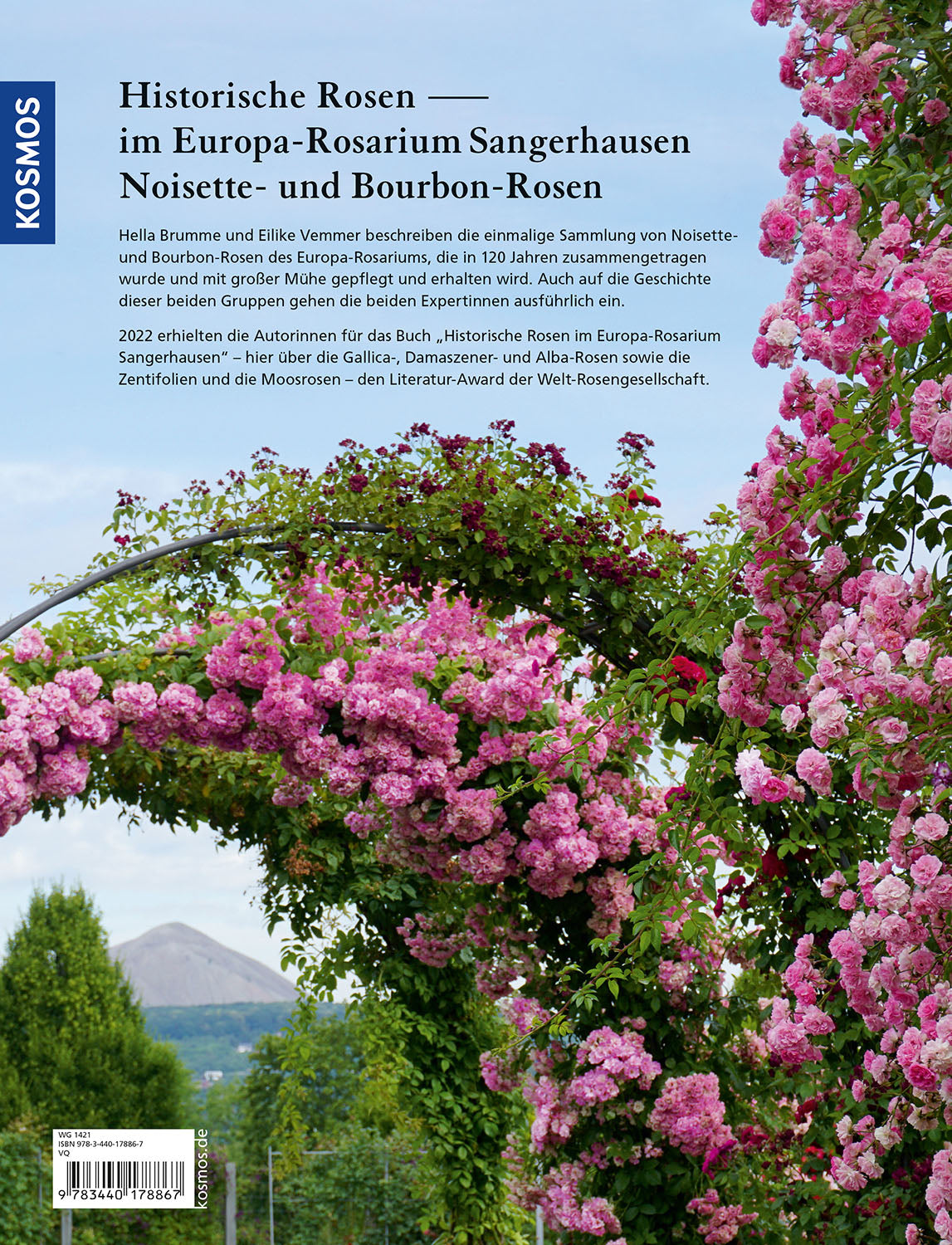 Historische Rosen im Europa Rosarium Sangerhausen: Noisette- und Bourbon-Rosen