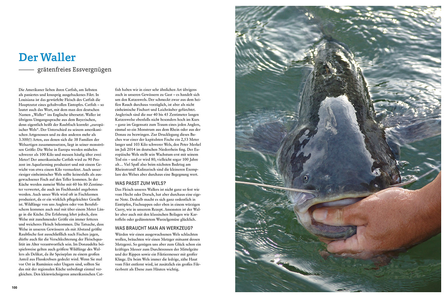 Fish Recipes for Anglers