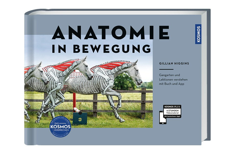 Ein multimediales Anatomiebuch